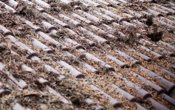 Mottingham roof cleaning companies